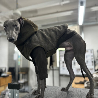 Coats and capes
