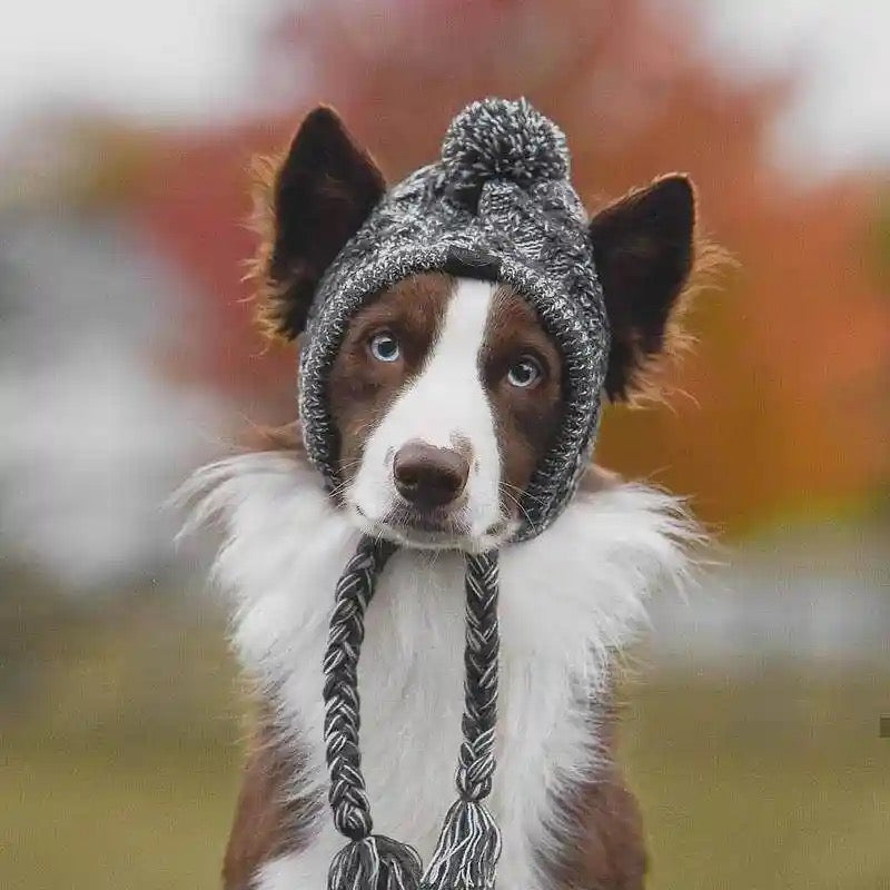 Fashion hats