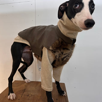 coat