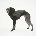 hooded jacket