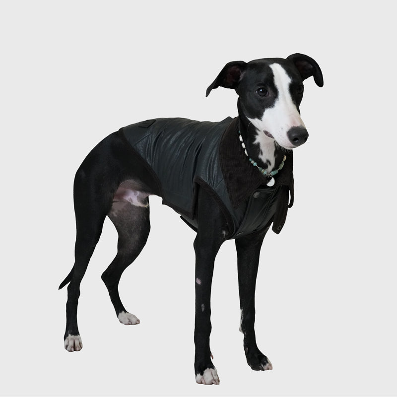 Outerwear 5